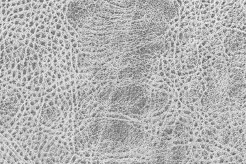 White natural leather texture with a pattern. Real grey animal skin background texture.