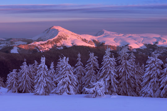 Winter Farcau Mountain in evening light. Maramures Mountains, Carpathians