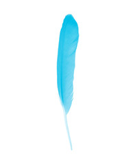 Beautiful blue feather isolated on white background