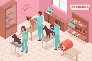Grooming Pets Isometric Composition