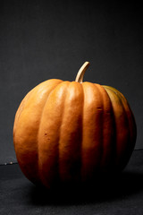 Big beautiful orange pumpkin. Halloween pumpkin