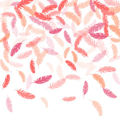 Flying feather elements airy vector design.