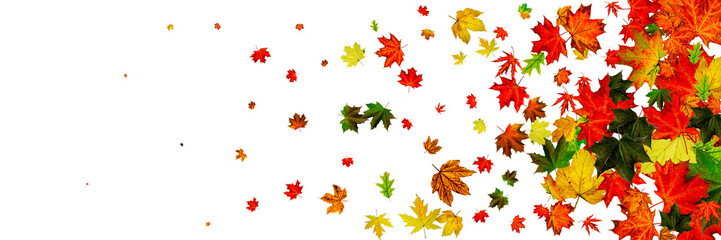 Naklejka na ściany i meble Autumn leaves pattern. Falling October background. Thanksgiving season concept