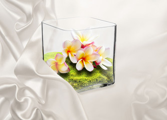 The photo shows a transparent vase with flowers and moss placed in it. A vase stands on a beige satin.