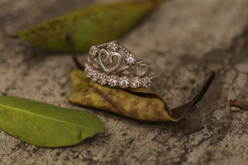 anillo con hojas
