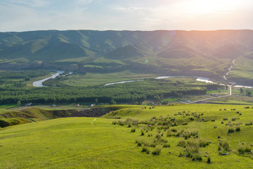 Obraz premium Grassland and valley river forest in sunlight