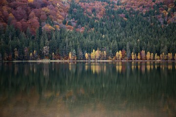 Beautiful forest lake in the autumn day. Saint Anna lake,Transylvania,Romania