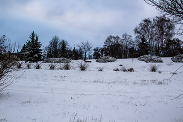 Amazing day in the park at the winter. The park in the  city Sumy