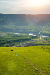 Grassland and valley river forest in sunlight with winding road