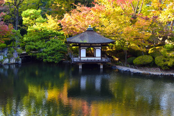 Autumn season at Momijidani Garden in Wakayama, Wakayama Prefecture, Japan