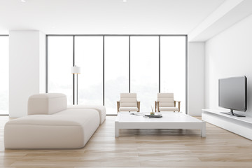 Comfortable white living room with sofa and TV