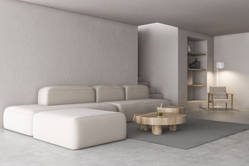 Fototapeta na wymiar Living room corner with sofa, armchair and shelves