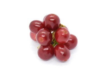 Coffee berries red and leaves coffee on white background.