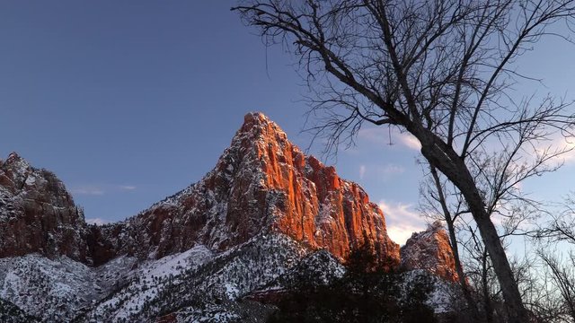 View of The Watchman glowing from the sun shining viewing it through trees panning in Zion with snow in winter.