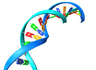3D DNA concept illustration