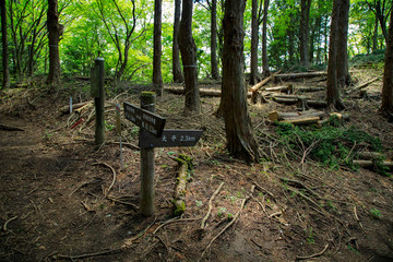 蛭ヶ岳、丹沢山、塔ノ岳 13