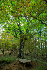 蛭ヶ岳、丹沢山、塔ノ岳 22