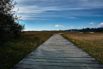 Obraz premium Wooden path in the countryside and in the background people walking towards the forest