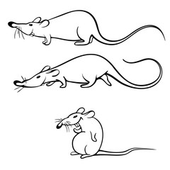 Rat as a symbol of 2020. Vector illustration and coloring book. Cartoon rat