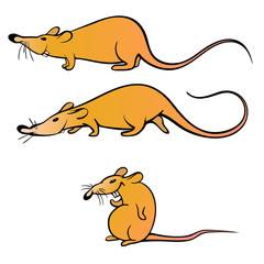 The rat is yellow as a symbol of 2020. Vector illustration. Cartoon rat