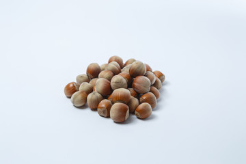 Hazelnut tree slide on a white background