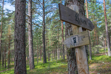 Panneaux de chemins de randonnée, traversant forêt et tourbière, dans le parc national de Lahemaa, Estonie.