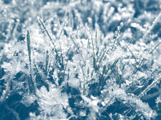 winter background with snowflakes crystals patterns and snow on frozen grass