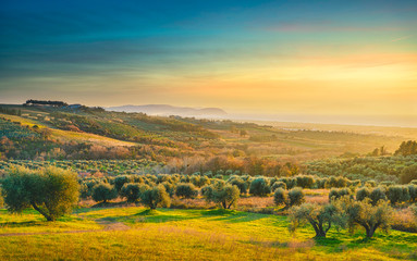 Maremma sunset panorama. Countryside, sea and Elba on horizon. San Vincenzo, Tuscany, Italy.