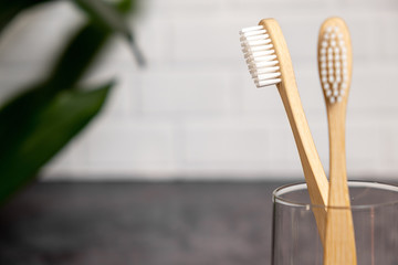 Two eco natural bamboo toothbrushes and green leaf . Sustainable lifestyle and zero waste home....