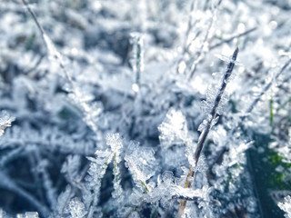 winter background with snowflakes crystals patterns and snow on frozen grass