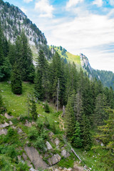 Fototapeta na wymiar view of beautiful landscape in the Alps with fresh green meadows and trees of forest at mountain sunny day with blue sky and clouds in springtime.