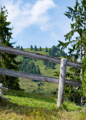 Animals woodn fence and a background of hills with trees and green grass land