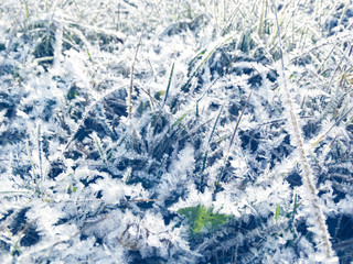 winter background with snowflakes crystals patterns and snow on frozen grass