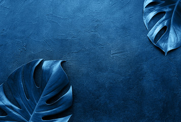Tropical leaves monstera toned classic blue color © Olena Rudo
