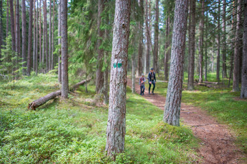 Pomeneurs (mère et fils) sur un chemin de randonnée en forêt, dans le parc national de Lahemaa, Estonie.