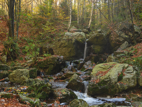 La jolie cascade des Nutons &agrave; Solwaster en Belgique