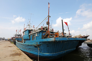 Wooden fishing boats moored on the shore