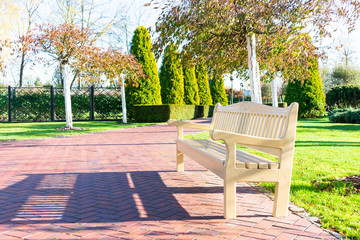 Wooden bench in the park. Beautiful park on a sunny day