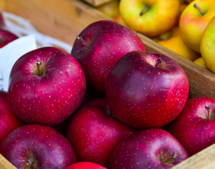 Fresh apple fruits for sale at street market