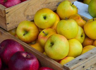 Fresh apple fruits for sale at street market