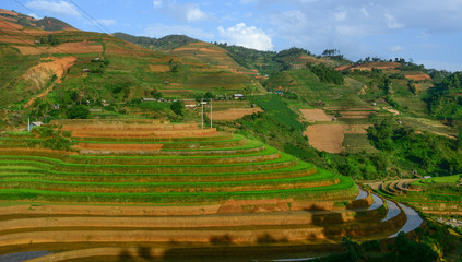 Obraz premium Terraced rice field in Northwest Vietnam
