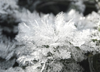 winter background with snowflakes crystals patterns and snow on frozen grass