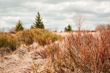 Fototapeta premium The High Fens