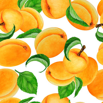 Ripe apricots with leaves on white background, hand drawn watercolor illustration, seamless pattern.