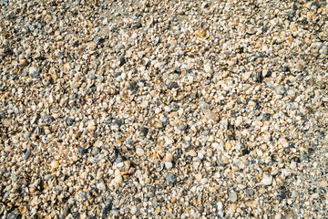 Pebbles and shells on the beach
