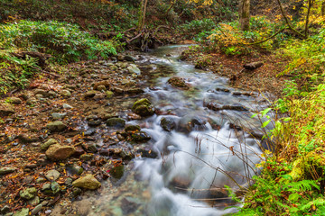 View of stream in Naruko Gorge, autumn season, Miyagi, Japan