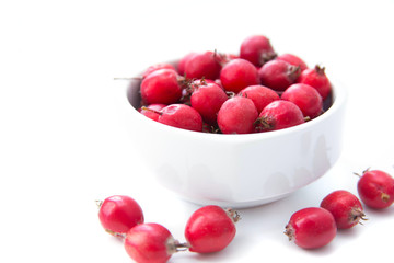 Berries Crataegus Oxyacantha, which is also known as Hawthorn. Berries are in the white cup, isolated over white background. Health concept. Herbal medicine. Selective focus