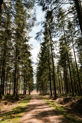 Obraz premium The High Fens