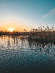Sunset over the forest lake.
