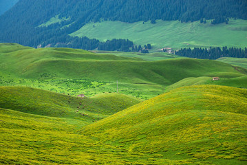 Fototapeta premium Mountain nature landscape with grassy green meadows and grazing sheep